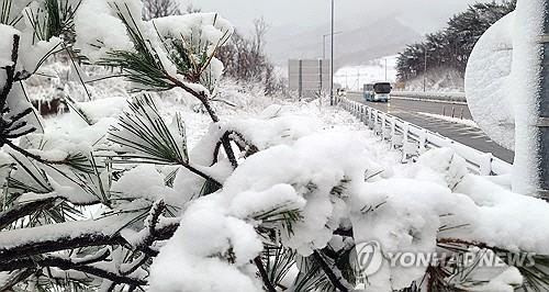 강원 산간을 중심으로 많은 눈이 내린 12일 강원 평창군 대관령 정상 부근이 하얀 눈으로 수북이 쌓여 있다. [평창=연합뉴스]